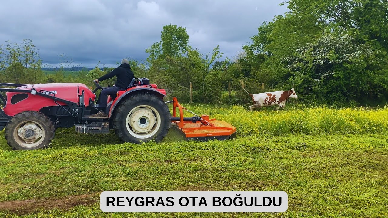 EKİNİ OT BASTI / OT PARÇALAMA MAKİNASI İLE TEMİZLİK ..