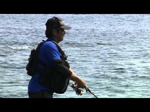 【いつでも釣り気分！】#116 本質を磨き進化する！静岡＆和歌山のエギング