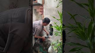 Download Lagu Demolish MP3