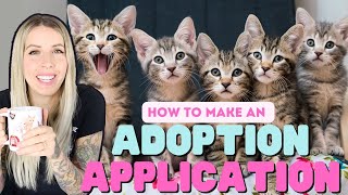 Kitten Adoptions: How to Create an Application & Find a Forever Home screenshot 2