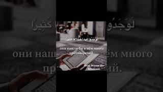 ﷽ 🎙️ Махди аш-Шишани 🌴📚 Сура 4 Ан-Ниса