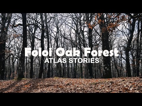 Δάσος Φολόης, Ηλεία | Foloi Oak Forest, Greece