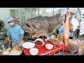 미슐랭이 선택한 바다의 보양식! 최고급 생선 자이언트 그루퍼 와 버터피쉬로 만든 국밥 / Giant Grouper and Butterfish Porridge | Thailand