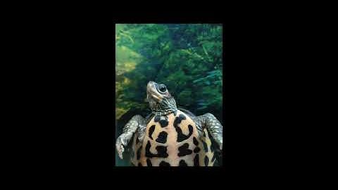 Repost of IG Apr 26th 2025. 