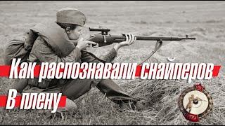 Как распознавали снайперов среди пленных Как распознавали снайперов среди пленных