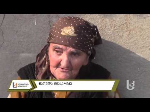 ბრძოლა გადარჩენისთვის