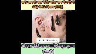 Download Mp3 दुनिया का एक ऐसा कीड़ा जिसमे 32 दिमाग होते हैं ? #shorts #shortsfeed #viral #facts #crazyxyz Gudang lagu Download Mp3 दुनिया का एक ऐसा कीड़ा जिसमे 32 दिमाग होते हैं ? #shorts #shortsfeed #viral #facts #crazyxyz