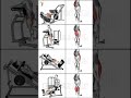 Do These Gym Moves Really Grow Your Legs?