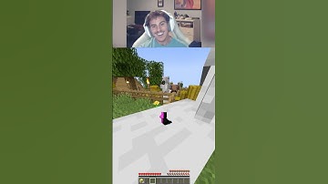 @weeetch Minecraft meme