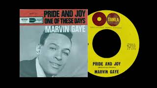 Marvin Gaye - Pride And Joy (1963)