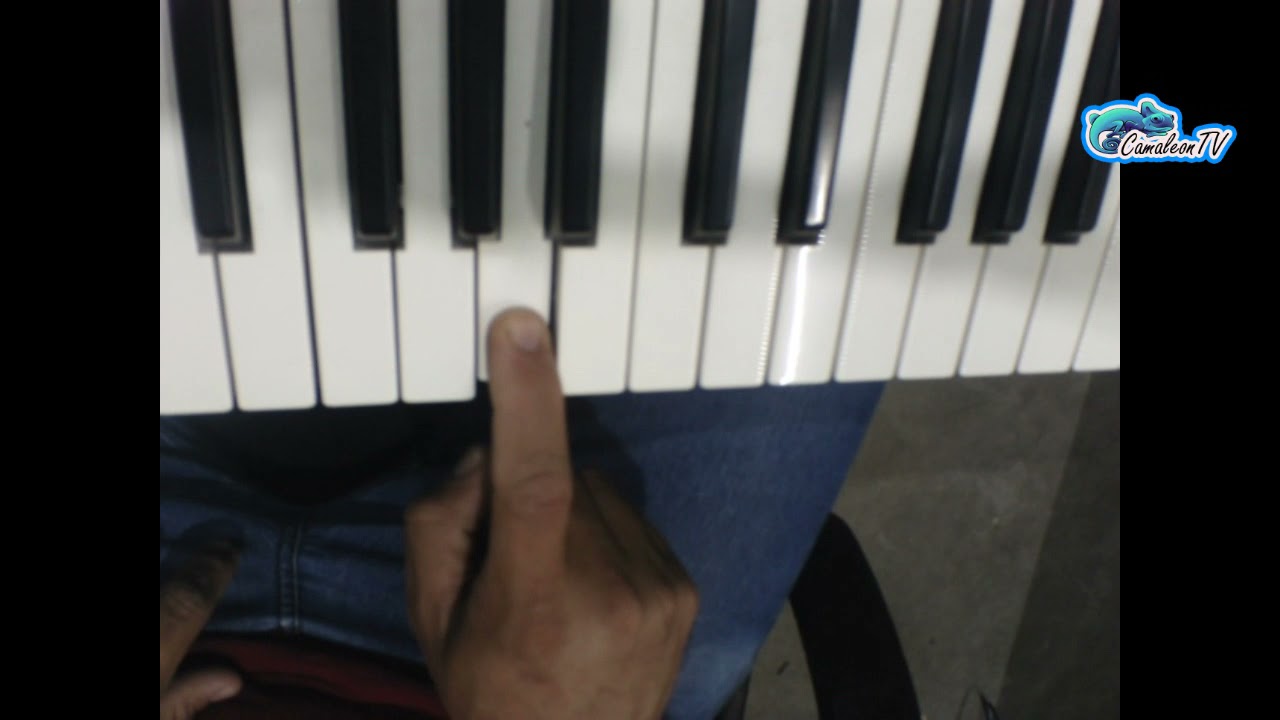 La cumbia de los pajaritos tutorial teclado