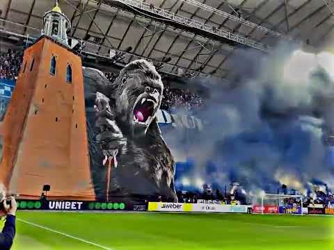 أقوى واجمل تيفو في العالم