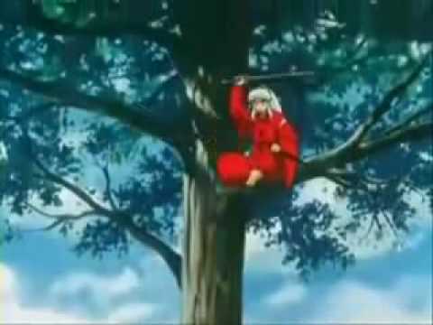 Inuyasha vs Seshamaru 2