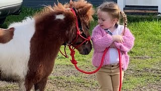 Checking with Rowdi & Rosie #farmlife #miniaturehorse #lovinglife #family