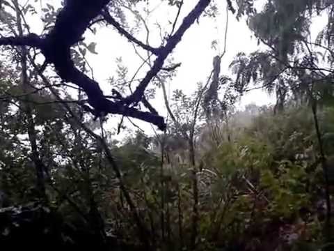 12 20140803 Crisolita_Inicia aguacero camera iphone 8 plus apk