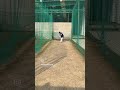 batting practice for cricketers improve your game and hand eye coordination improve