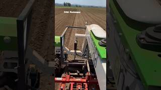 Robot Orio Mechanically Weeding Lettuce In Southafrica | Made By Naio Technologies France | #Shorts