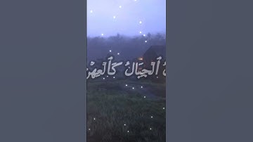 قران كريم بصوت الشيخ محمد اللحيدان 💗🤎