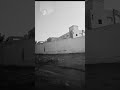جيبولي زهري باغي نعايرو Shorts جيبولي زهري باغي نعايرو Shorts