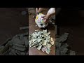 Daughter Breaks Piggy Banks After Two Years || ViralHog