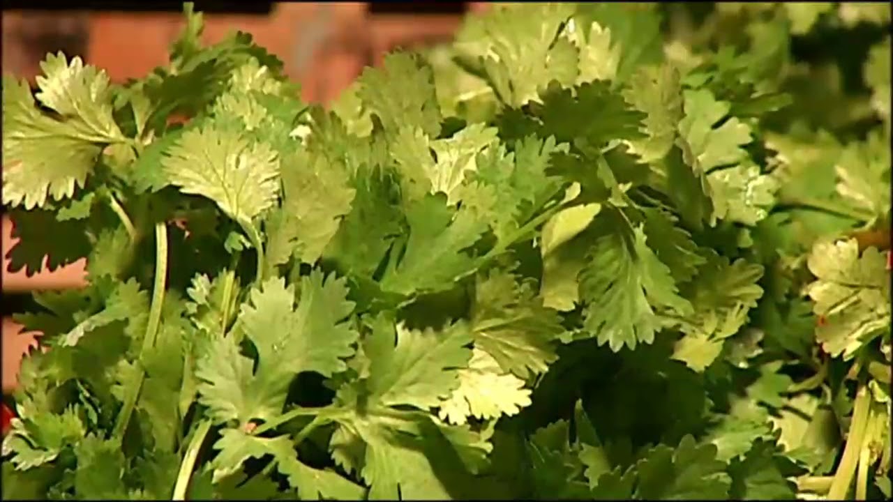 Crops in the cold: If there's damage, prices could go up