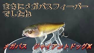Lure Introduction 584] GIANT DOG-X [Megabass] - YouTube