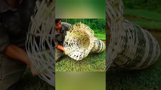 He Turned a Fallen Tree Into a Hidden Survival Shelter 🌲🔥 | Bushcraft Build#bushcraft #survival