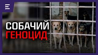 5 Дней На Жизнь. Эвтаназия Вместо Милосердия