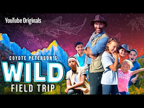 Coyote Peterson's Wild