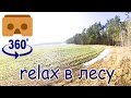 Релакс на опушке под звуки леса [МК] видео для vr 360