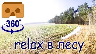 Релакс на опушке под звуки леса [МК] видео для vr 360