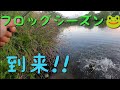 2021年5月2日　【養老水系】スティーズポッパーフロッグjrで落ちパクっ
