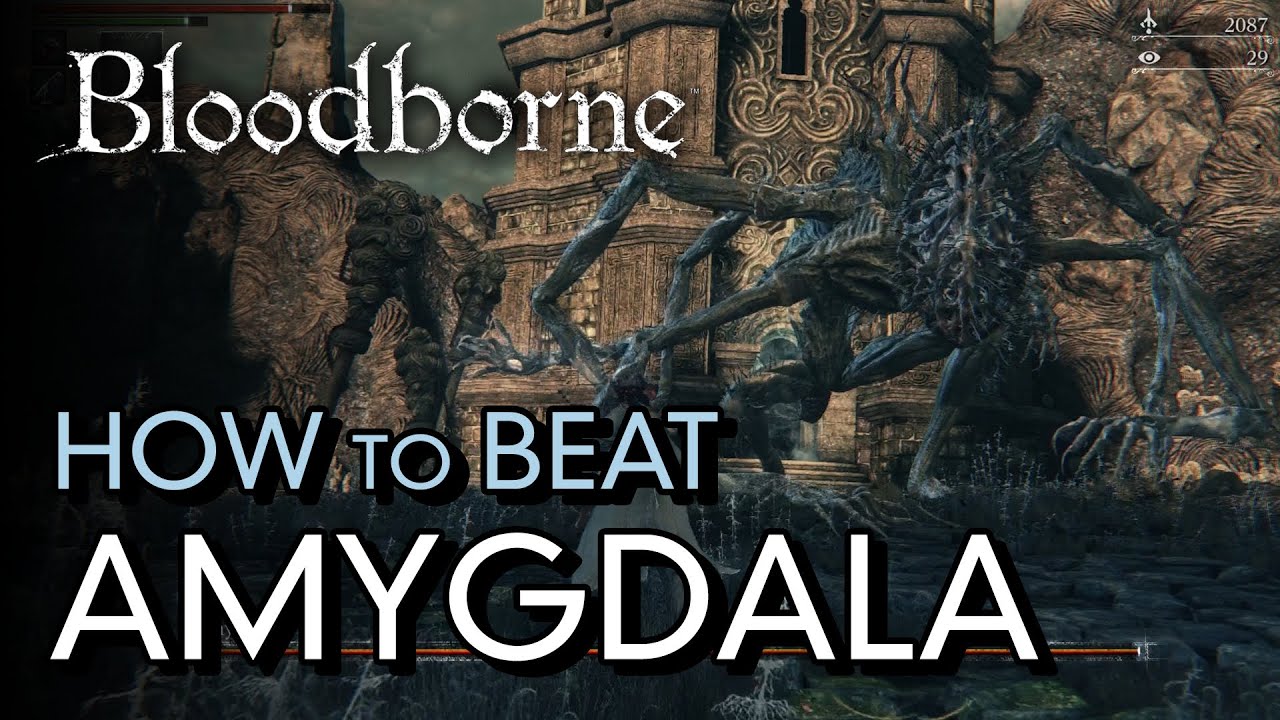 How to Beat Amygdala Bloodborne Boss Guide YouTube How to Beat Amygdala Bloodborne Boss Guide YouTube