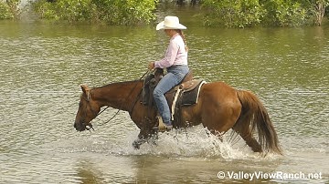 Irish Hillbilly Rose - checking cows, crossing water! - ValleyViewRanch.net