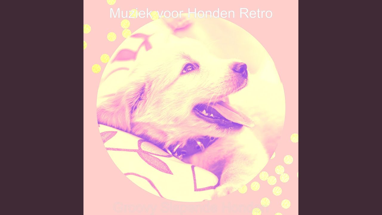 opleiding-youtube