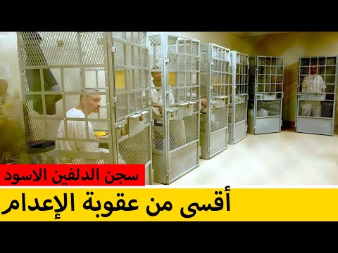 أكثر السجون رعب ا في روسيا الدلفين الأسود حصري