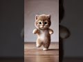 かわいいバイクネコpart2 #cat #petdance #animaldance #cute #catdance #funny