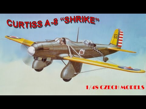 Фото Времена. Curtiss time. Время Кертисса. История самолета "Curtiss A-8 Shrike". Постройка модели 1/48