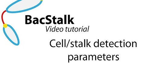 BacStralk tutorial 10: Cell and stalk segmentation/detection parameters
