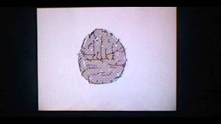 Flipnote:True Facts,Owlettes