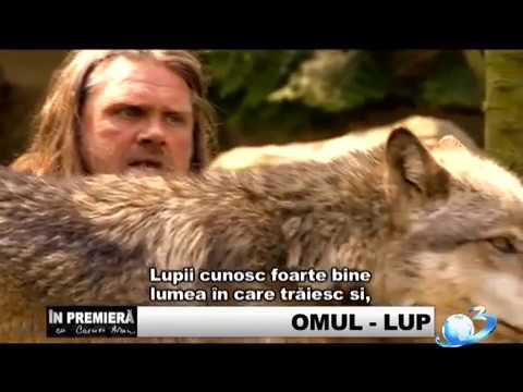 Video: Omul trăiește printre lupii sălbatici!
