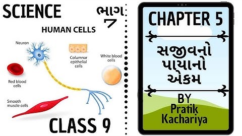 ભાગ 7 ॥ વિજ્ઞાન ॥ સજીવનો પાયાનો એકમ ॥Science ॥ Std 9 ॥ Chapter 5 ॥ Fundamental Unit Of Life ॥ NCERT