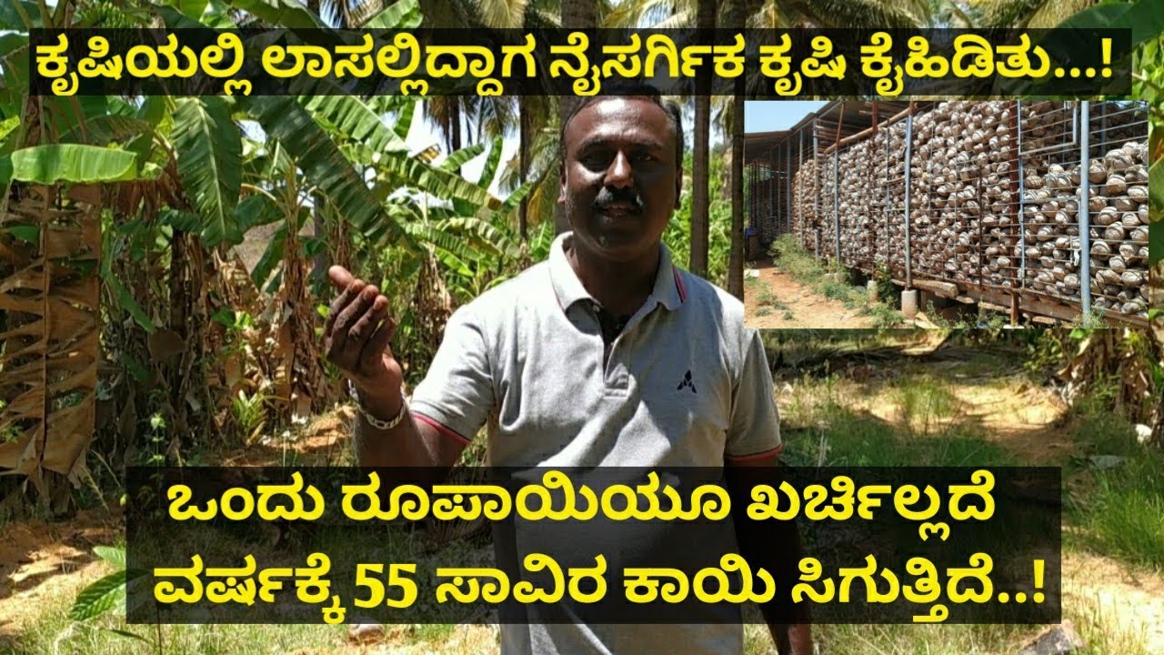 ಕೃಷಿಯಲ್ಲಿ ಲಾಸ್ ಆಗಿದೆ..! ಆಗ ಉಳುಮೆ ಇಲ್ಲದ ಕೃಷಿ ಅಳವಡಿಸಿಕೊಂಡು ಖರ್ಚಿಲ್ಲದೆ ಆದಾಯ ಗಳಿಸುತ್ತಿದ್ದೇನೆ