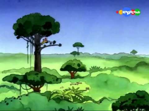 Тропический лес мультфильм смотреть онлайн