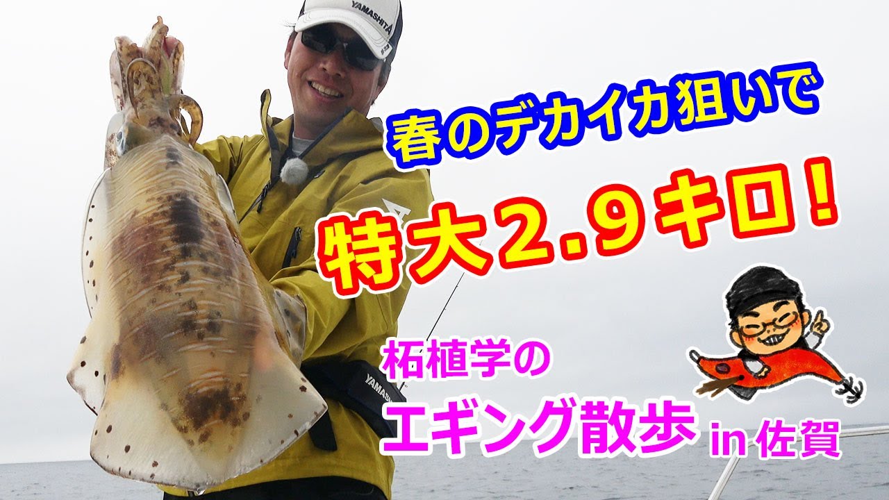 柘植学のエギング散歩 In 佐賀 春のボートエギング編 Youtube 柘植学のエギング散歩 In 佐賀 春のボートエギング編 Youtube