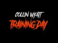 COLLIN WYATT - TRAINING DAY - FEELINGS RIDDIM - MVP RECORDS - MAY 2018