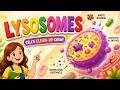 Lysosomes Explained | Class 9 Biology | Structure &amp; Functions of Lysosomes | PCTB 2026