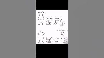 Full Stack Developer 💀☠️📈 #memes #fullstackdeveloper #btech #engineering #computerscience #funny