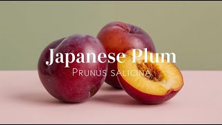 Japanese Plum Prunus Salicina History, Flavor & Health Powers