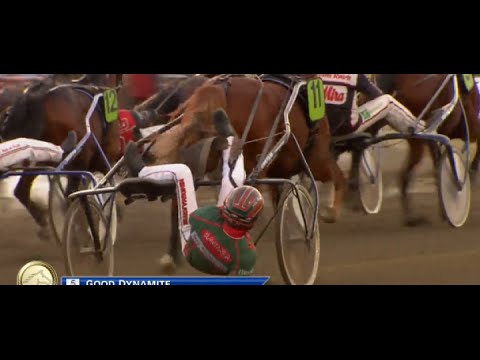 Video: Finska Renar Glöder På Natten För Att Förhindra Olyckor